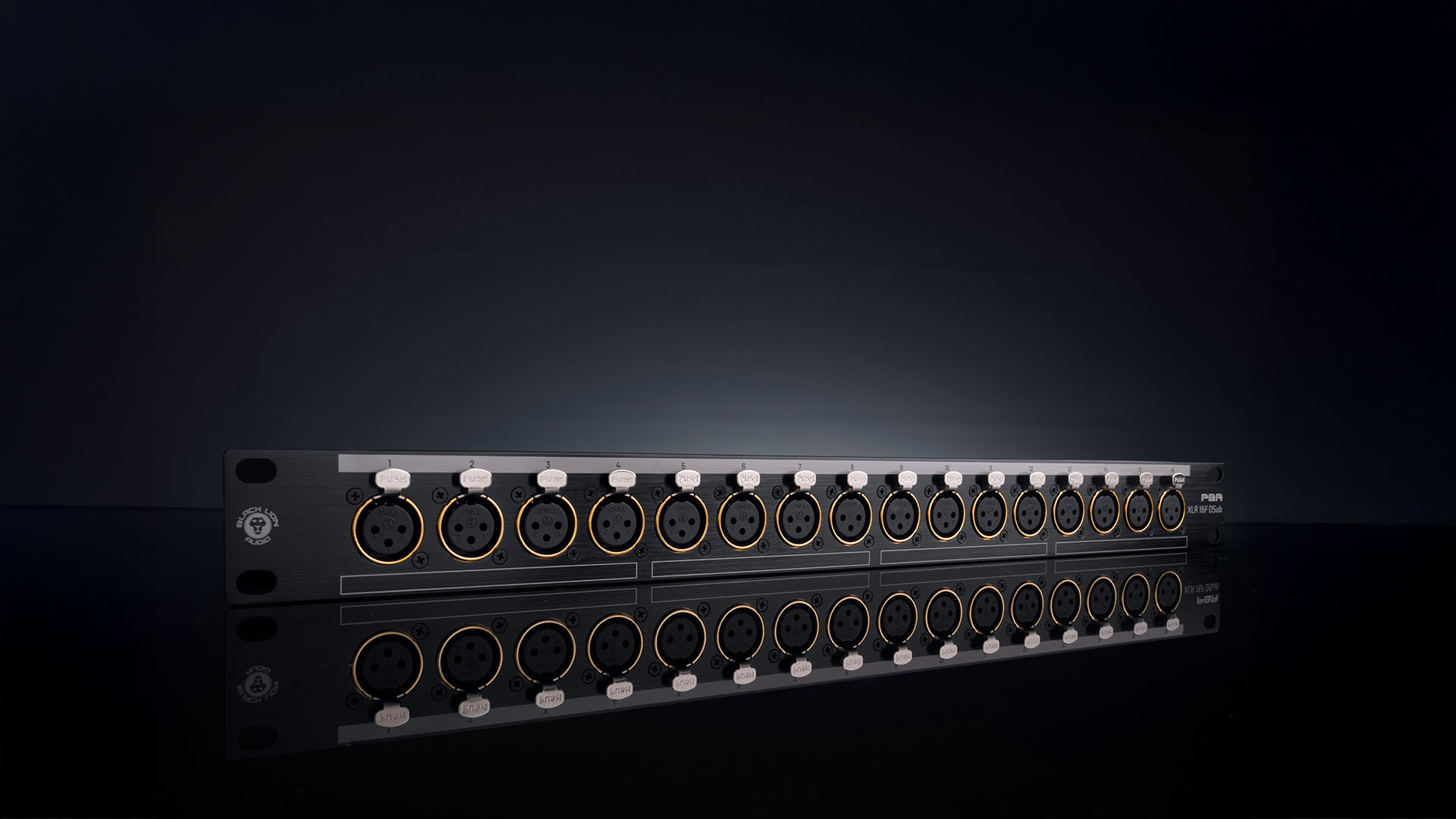 PBR XLR 16F Dsub | Black Lion Audio