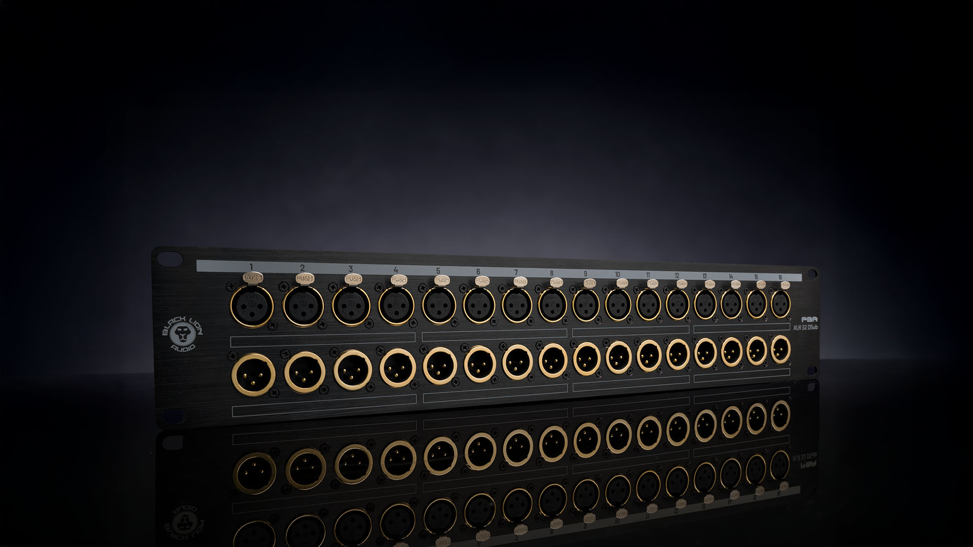PBR XLR 32 DSub | Black Lion Audio