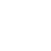 Orchestral Instruments