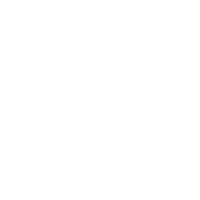 Stringed Instruments